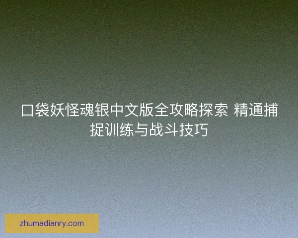 口袋妖怪魂银中文版全攻略探索 精通捕捉训练与战斗技巧