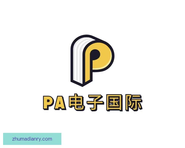 介绍PA电子